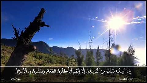 قران كريم ياسر الدوسرى تلاوة هادئة :(ومن يظلم منكم نذقه عذابا كبيرا   )