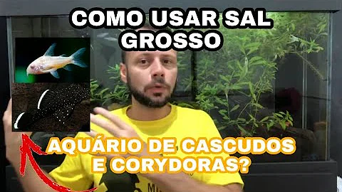 Como jogar sal grosso no aquário?