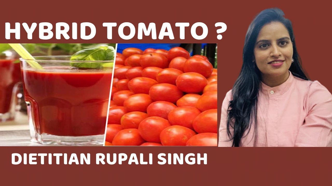 HYBRID TOMATO KE FAYDE YouTube