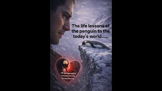 Penguin Headed For The Mountains EXPLAINED!