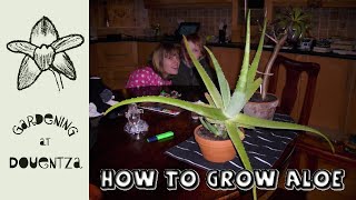 How to Grow Aloe vera & Other Aloe Plants || Quick & Easy Guide