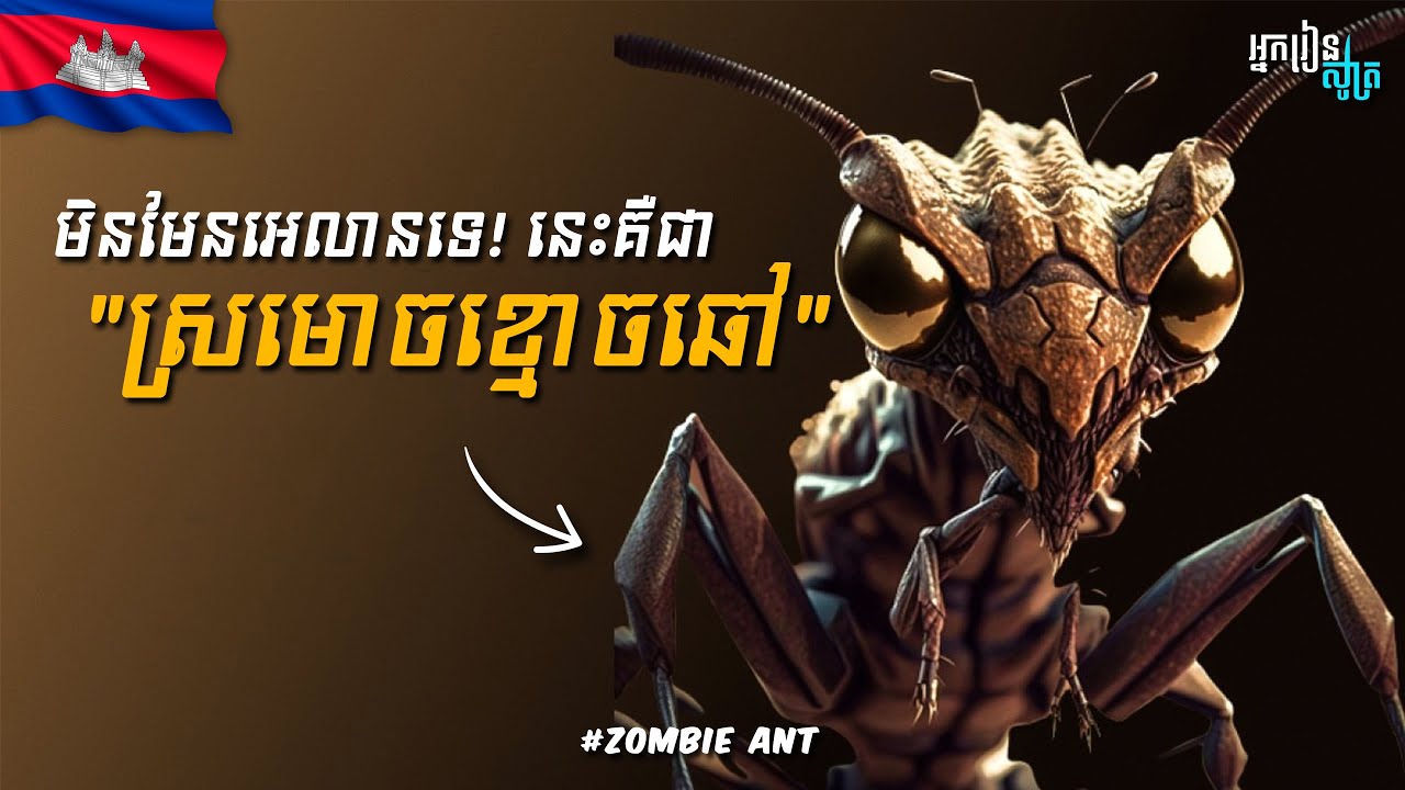 ហេតុអ្វីបានជាស្រមោចក្លាយជា Zombie?