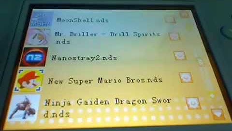 iTouch 2 Nintendo DSi