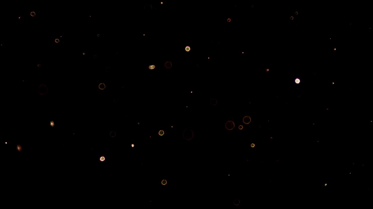 Particles 4K 48s - YouTube
