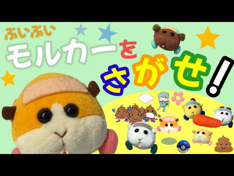 モルカーをさがせ！　PUI PUIモルカー　おもちゃアニメ