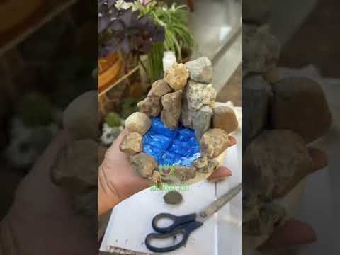 Video: Mini jardín zen: diseño de un tranquilo jardín zen con plantas suculentas