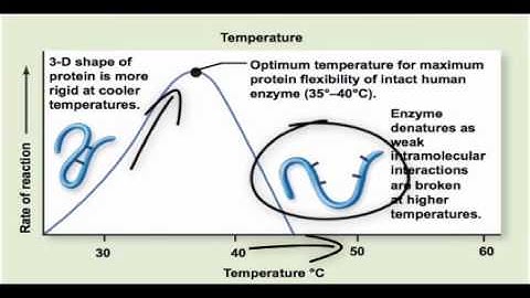 Chapter 2   The Effect of Temperature and pH on Enzyme Function