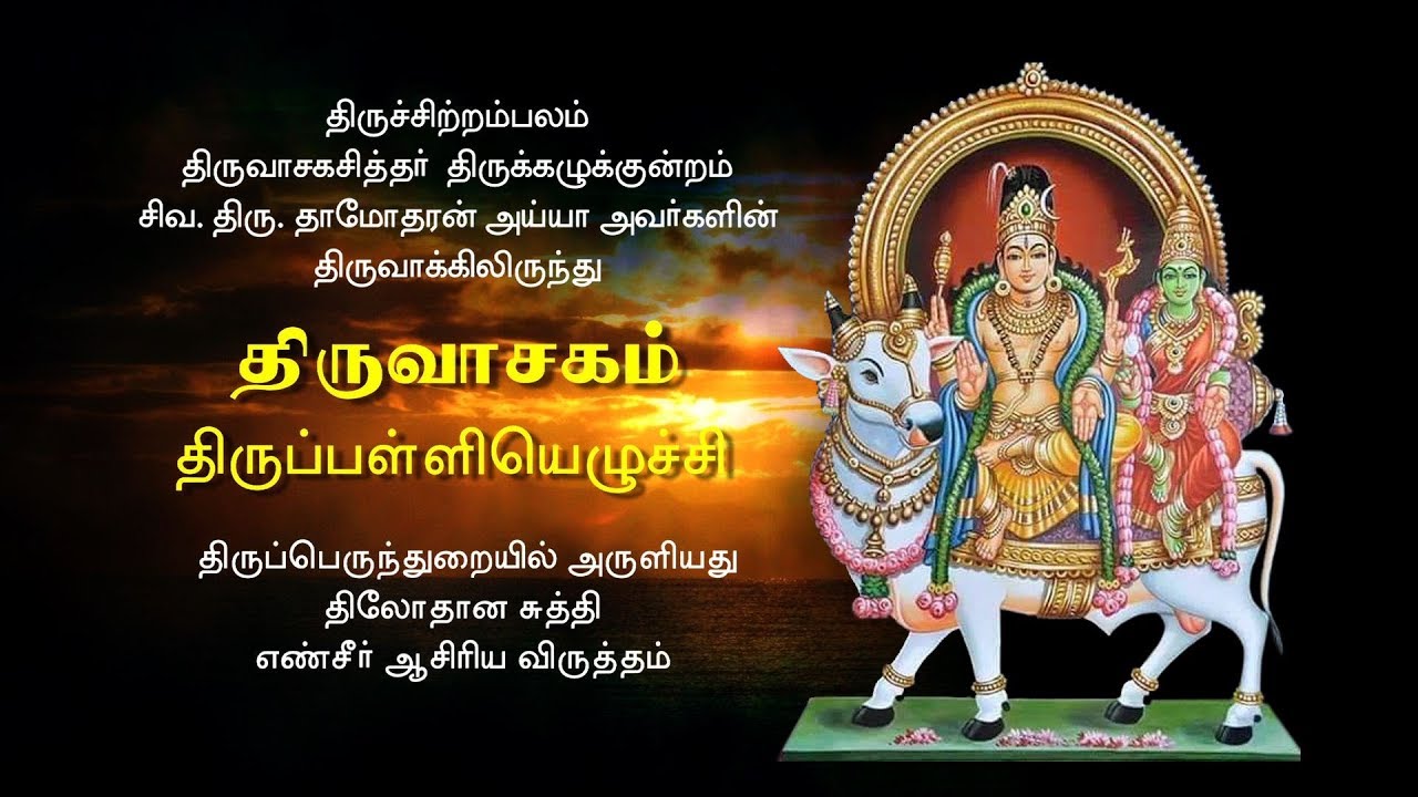 Thirupalliyezhuchi    Thiruvasagam  SivaDhamodharan Iyya  Bakthi TV