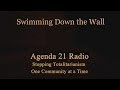 Chapter 3 - Swimming Down the Wall
