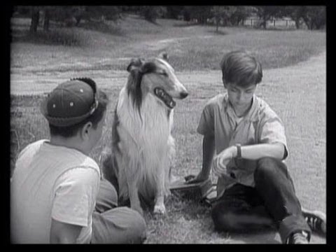 Lassie - Seasons 1-3: The Miller Years - Asuka The Disc Dog