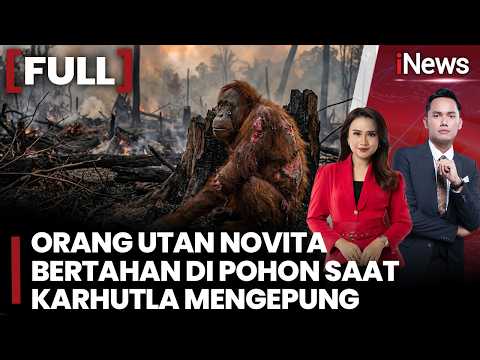 Viral! Detik-Detik Orang Utan Novita Bertahan di Tengah Karhutla, Tubuhnya Alami Luka Bakar | (29/9)