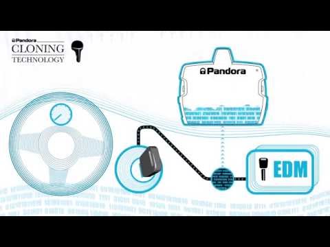 Pandora CLONE клонирование чип ключей автомобиля