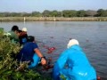 Captura a cocodrilo 2,60 mts. Finca de Tilapia El Pelón de la Bajura.