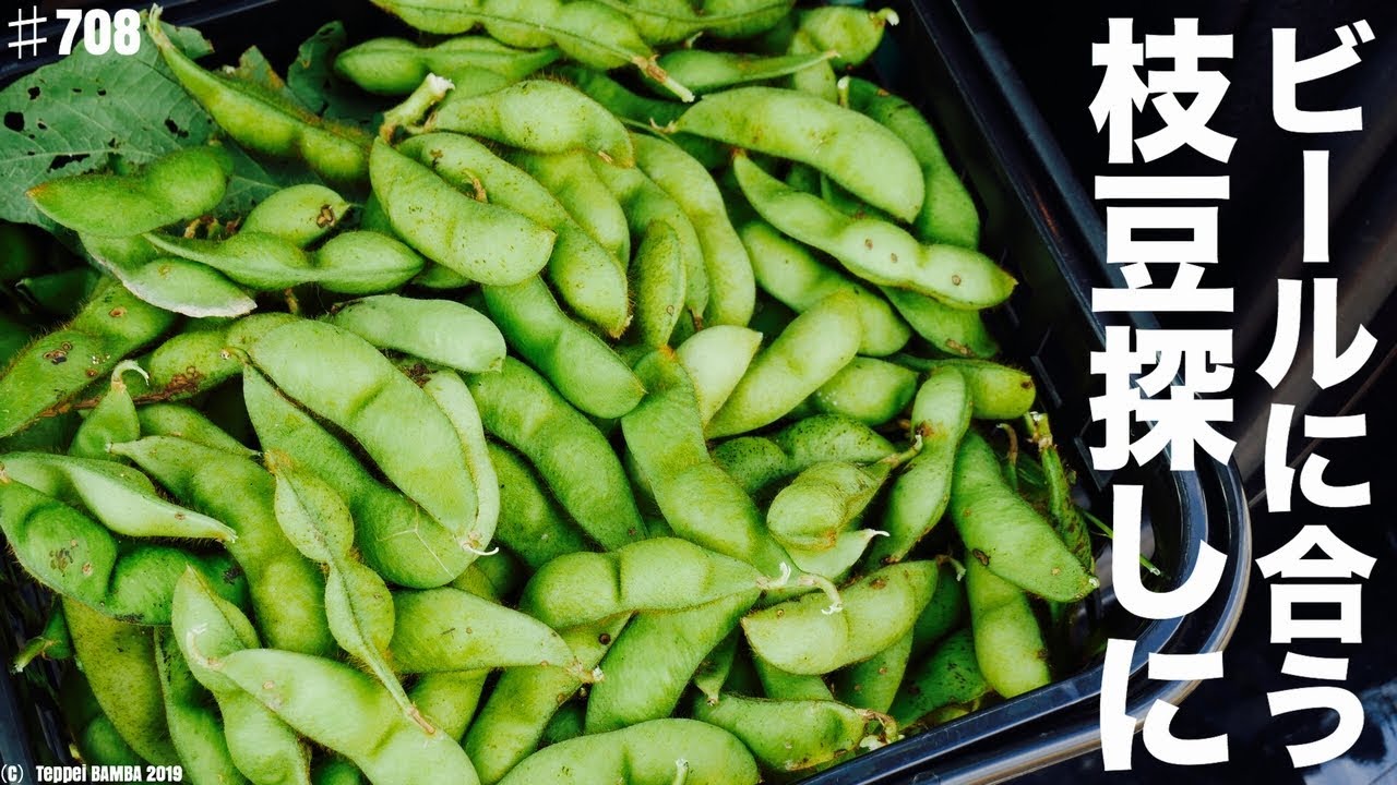 Edamame Picking Tatsuno City Hyogo Prefecture Youtube