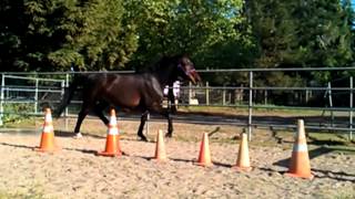 WP_20120509_010706Z.mp4