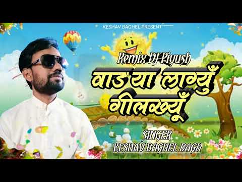 Vadya Lagyu Gilkhiyun | Keshav Baghel Bagh | Song Of Keshav Baghel | Aadiwasi Dj Timli Song 2024