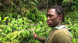 Why Jamaica is a Paradise of Natural Beauty and Adventure? | Documentary