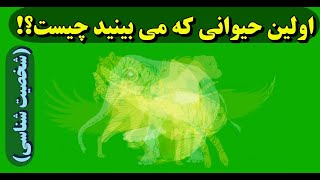 تست شخصیت شناسی  اولین حیوانی که در تصویر می بینید چیست؟ - تست شخصیت شناسی