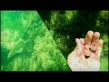 Snorkeling at Casperson Beach, Florida! Fish and Shark Tooth hunting!