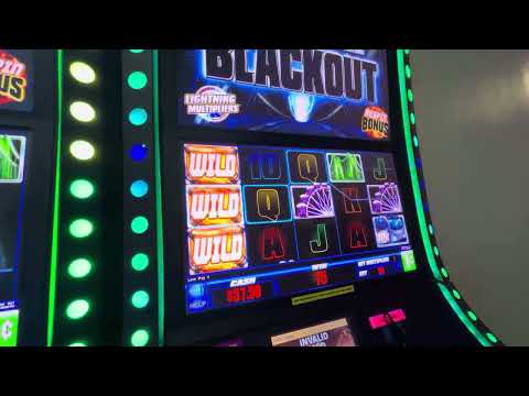 perdieron en el casino y me dejaron como garantía. con lo que me hicieron, arderán con mi venganza