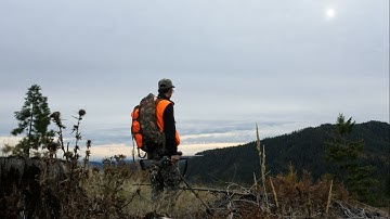 Hunt Vlog #4 - 2016 Elk Hunt (Day 1) | Elk Don