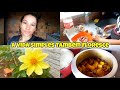 Vlog:Almoço simples e delicioso morando interior do Pará 🍃
