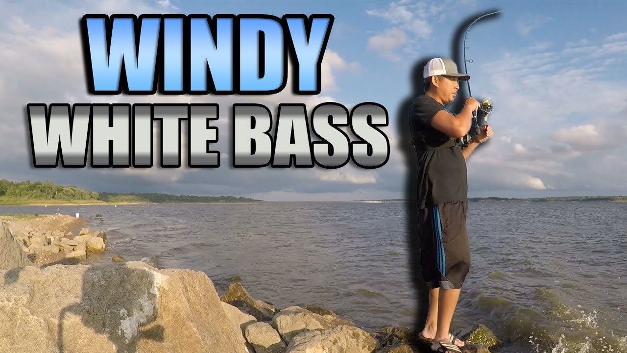 Fishing for White Bass in the Wind 