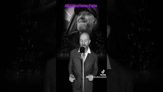 Song  All I Had Was  Pain      By Der Kleine Michael