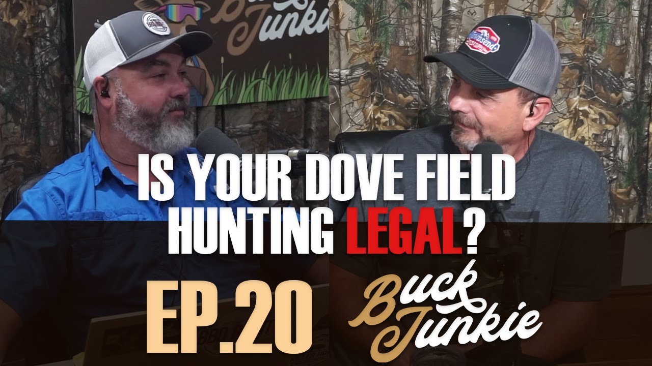 Is YOUR Dove Field Hunting Legal? | Buck Junkies Podcast EP20 - YouTube