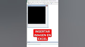 Insertar Imagen Video en un formulario VBA Excel #excelmacros #vba #vbamacros #macros #tutorial