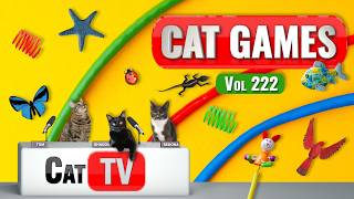 CAT Games | Ultimate Cat TV Compilation Vol 222 | 8 HOURS 🐝🐞🦋🦎🦜🐜🐭🧵