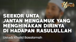 Kisah Unta Mengamuk Yang Tunduk di Hadapan Rasulullah - Ustadz Khalid Basalamah