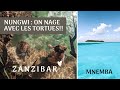 🐢 Nager avec les tortues à Zanzibar à Nungwi, excursion à Mnemba Island, 50 nuances de bleus! VLOG 2