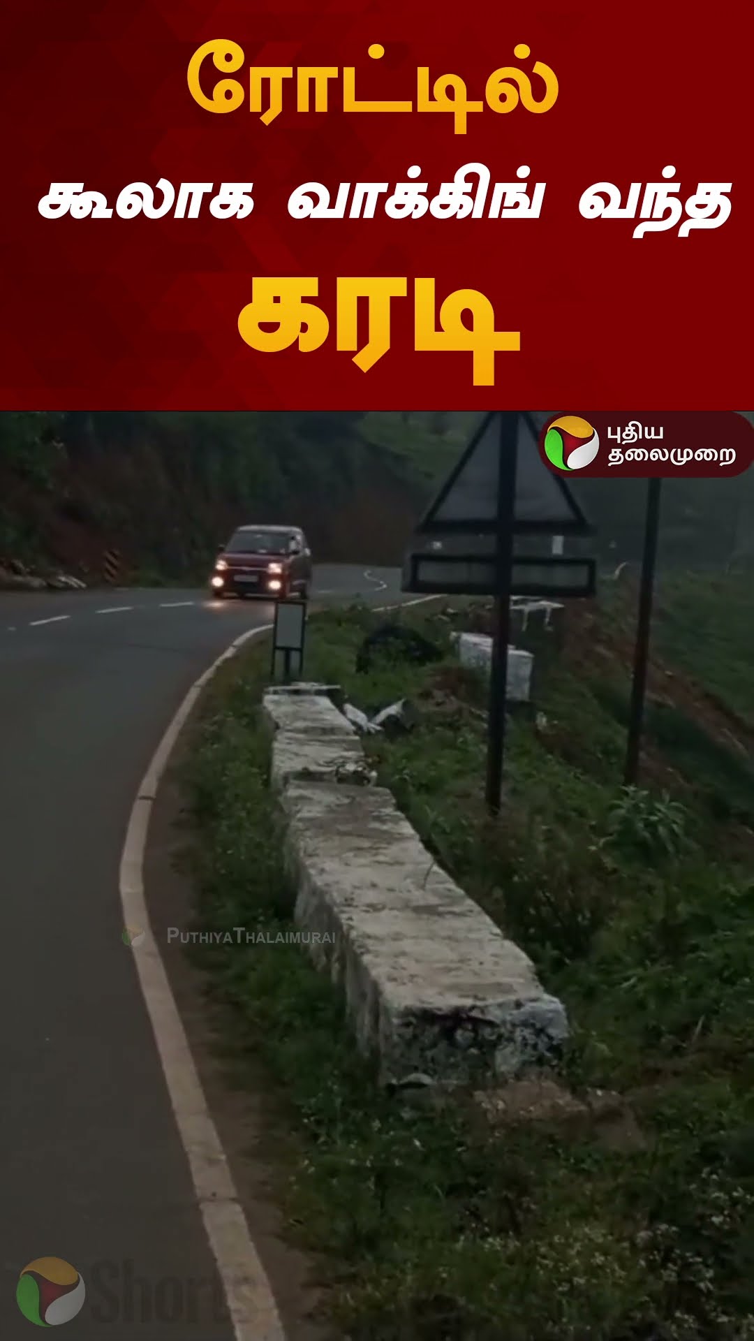 ரோட்டில் கூலாக வாக்கிங் வந்த கரடி | #shorts | #bear | #gudalur