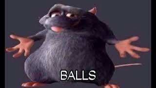 balls rat meme