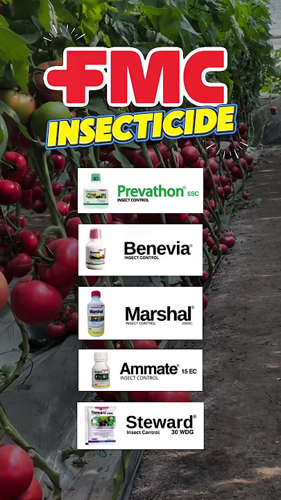 TOP 5 FMC INSECTICIDE | #fmc #agriculture #insecticides #vegestable #farmlife #farmer #farming