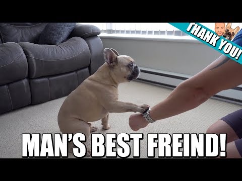 Bond Is Doing Tricks! Thank You for 10,000 Subs