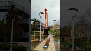 Katip Şadi Büyük Usta Kemençe Topraklar Resimi