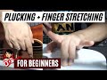 Guitar Plucking & Finger Stretch Exercises for Beginners