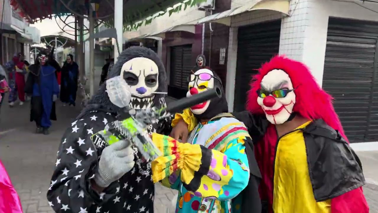 Papangus invadem a pracinha tataguaçú Queimadas-pb