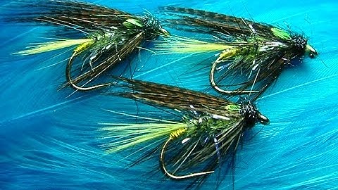Tying the Carron Dabbler By Davie McPhail.