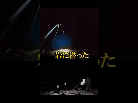 釣った魚を餌に魚を釣る「わらしべ釣法」で何が釣れるか！？ #釣り #fishing