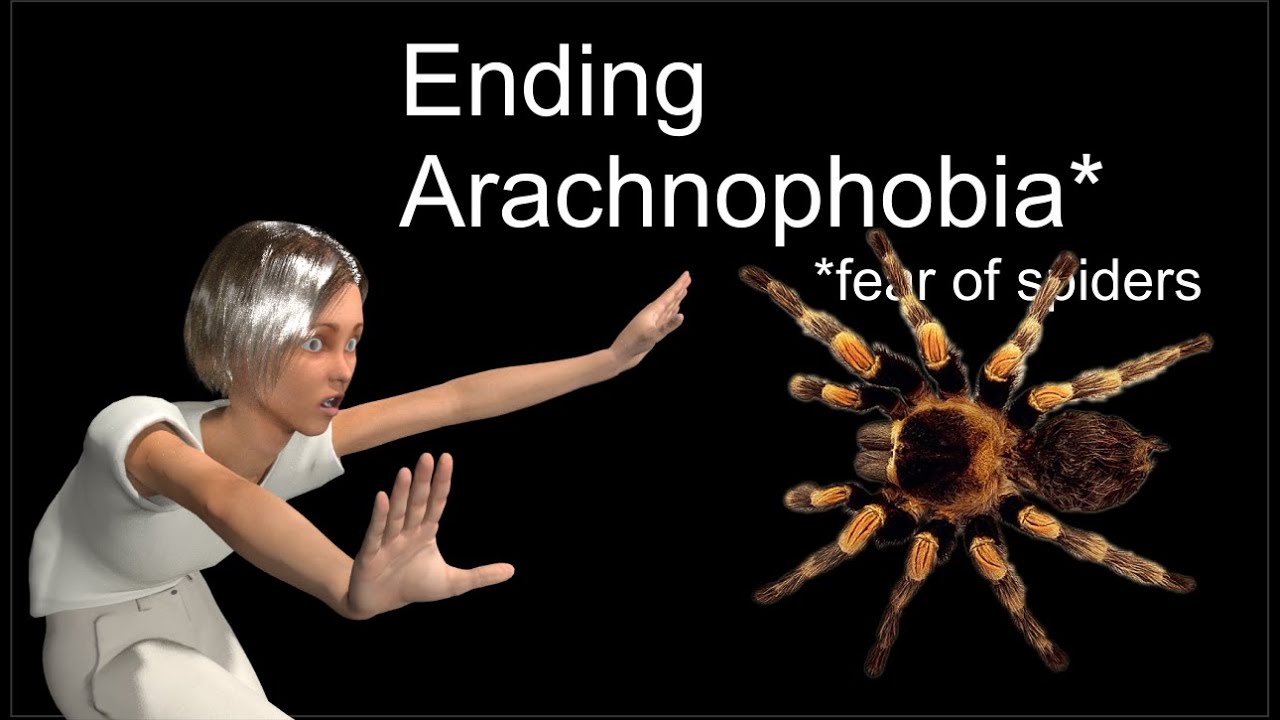 treating-arachnophobia-with-systematic-desensitization-youtube