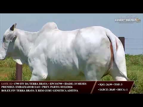 LOTE 32   EPCO 1799
