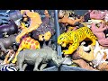 African Animals &amp; Wild Cats - Elephant, Rhino, Hippo, Lion, Cheetah, Tiger, Hyena, Giraffe, Lynx