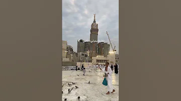 ليتني في سرب الحمامي نظرة تمحو لي سقامي يا طيبة يادوا العيانا مكة المكرمة المدينة المنورة 