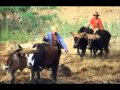 Modo de produccion feudal pochi meloni