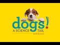 Dogs a science tail now open