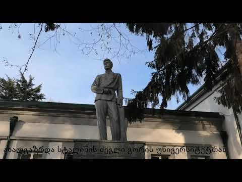 გორის უნივერსიტეტის მიმდებარე ტერიტორია