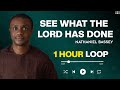 SEE WHAT THE LORD HAS DONE - NATHANIEL BASSEY ( 1 HOUR LOOP )